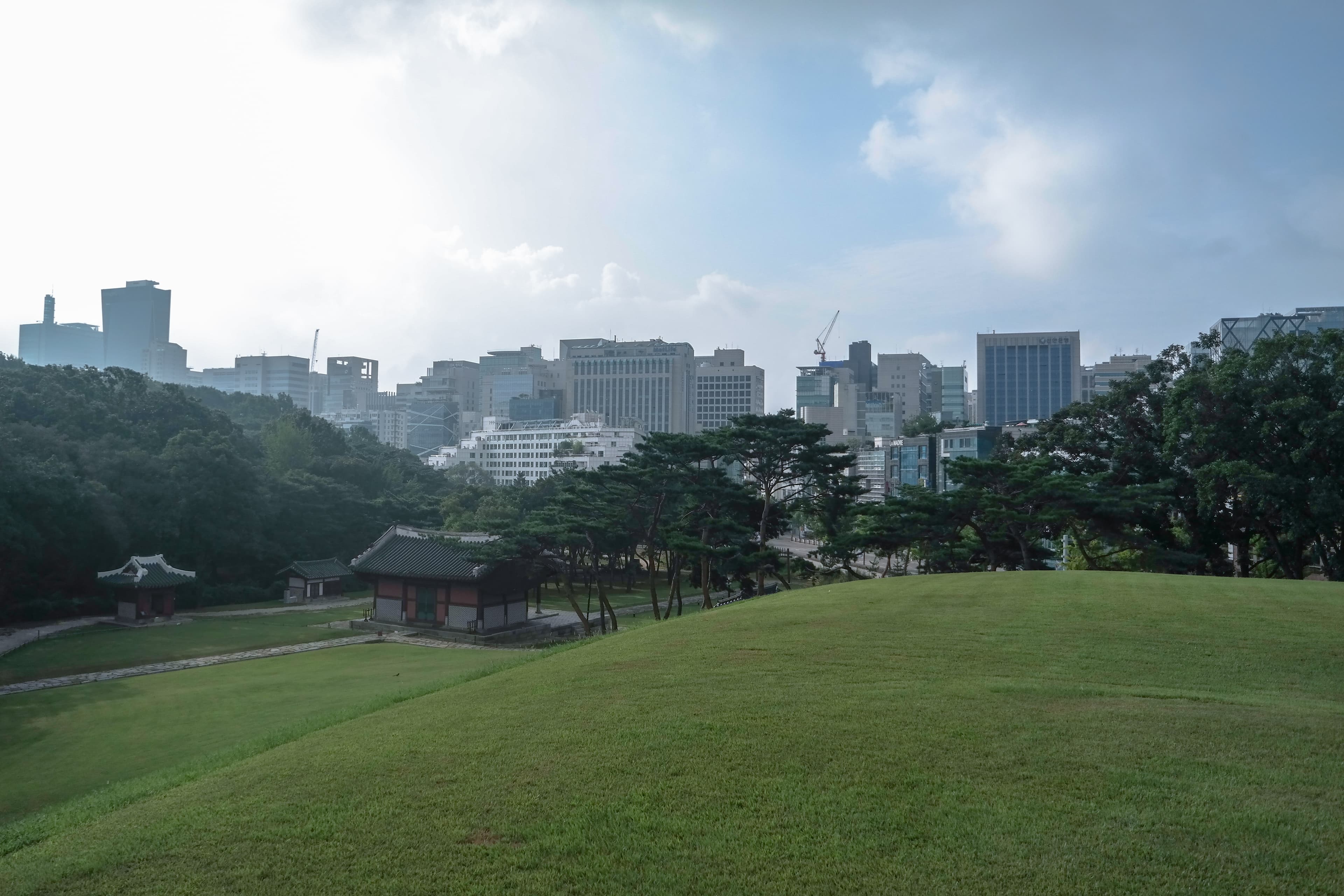 고층 빌딩을 배경으로 잔디 봉분이 있는 선정릉 왕릉 전경