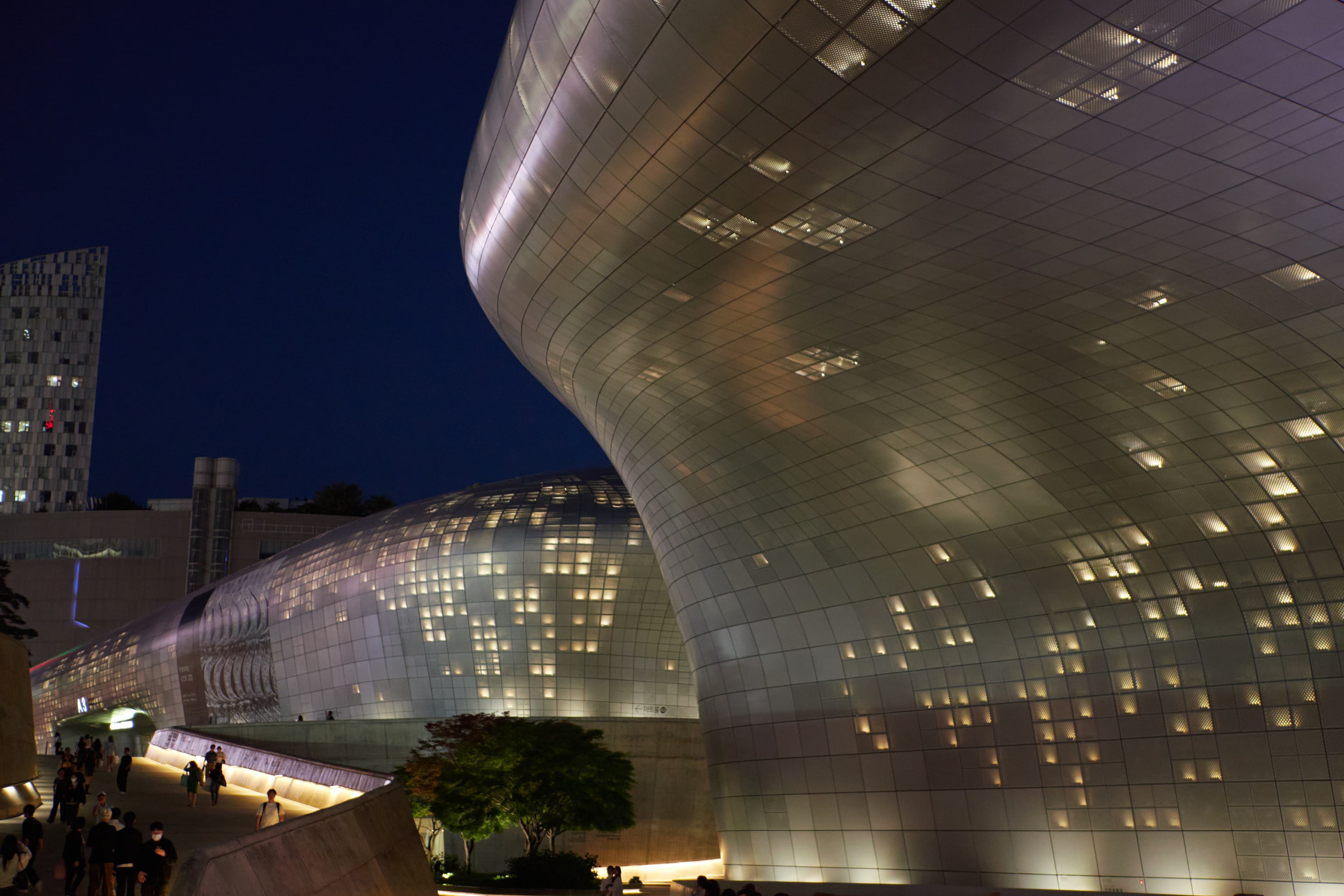 Dongdaemun Design Plaza's curved facade lit up at night