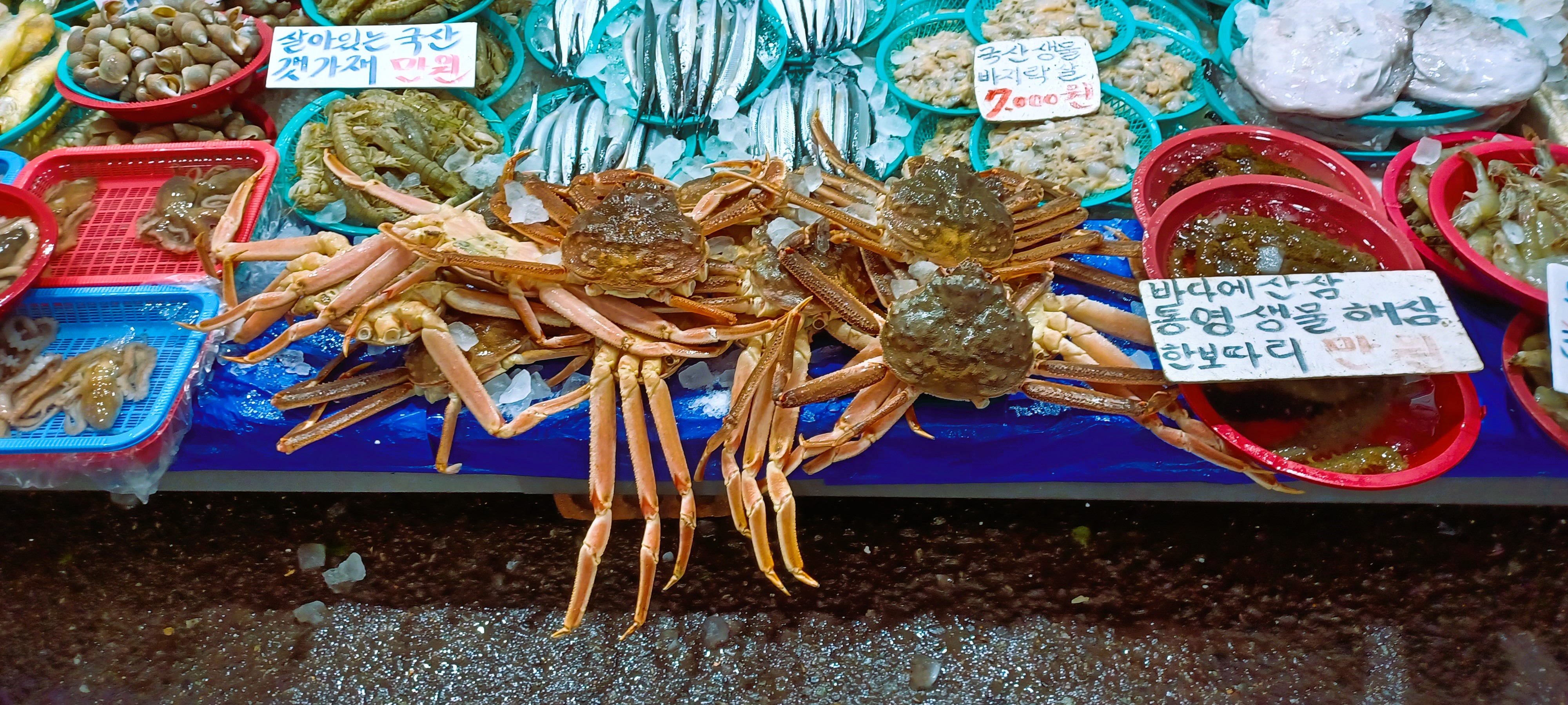 Crab and seafood displayed at a Mangwon Market stall