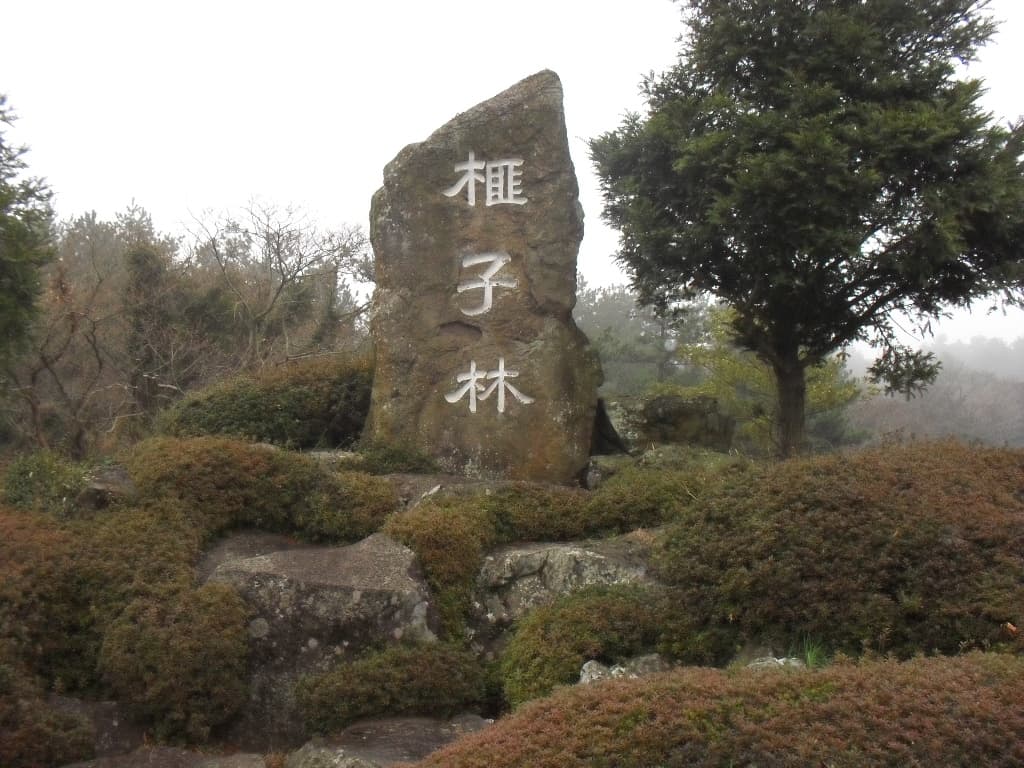A stone marker inscribed with Bijarim Forest's name, in a misty grove