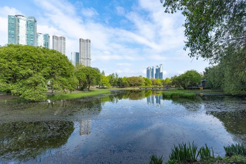 The wetland pond at Seoul Forest reflecting the Seongsu high-rises behind the treeline