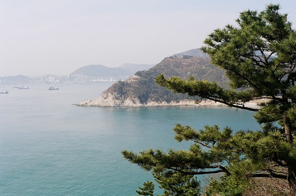 Open sea view from the cliffs of Taejongdae, framed by pine branches