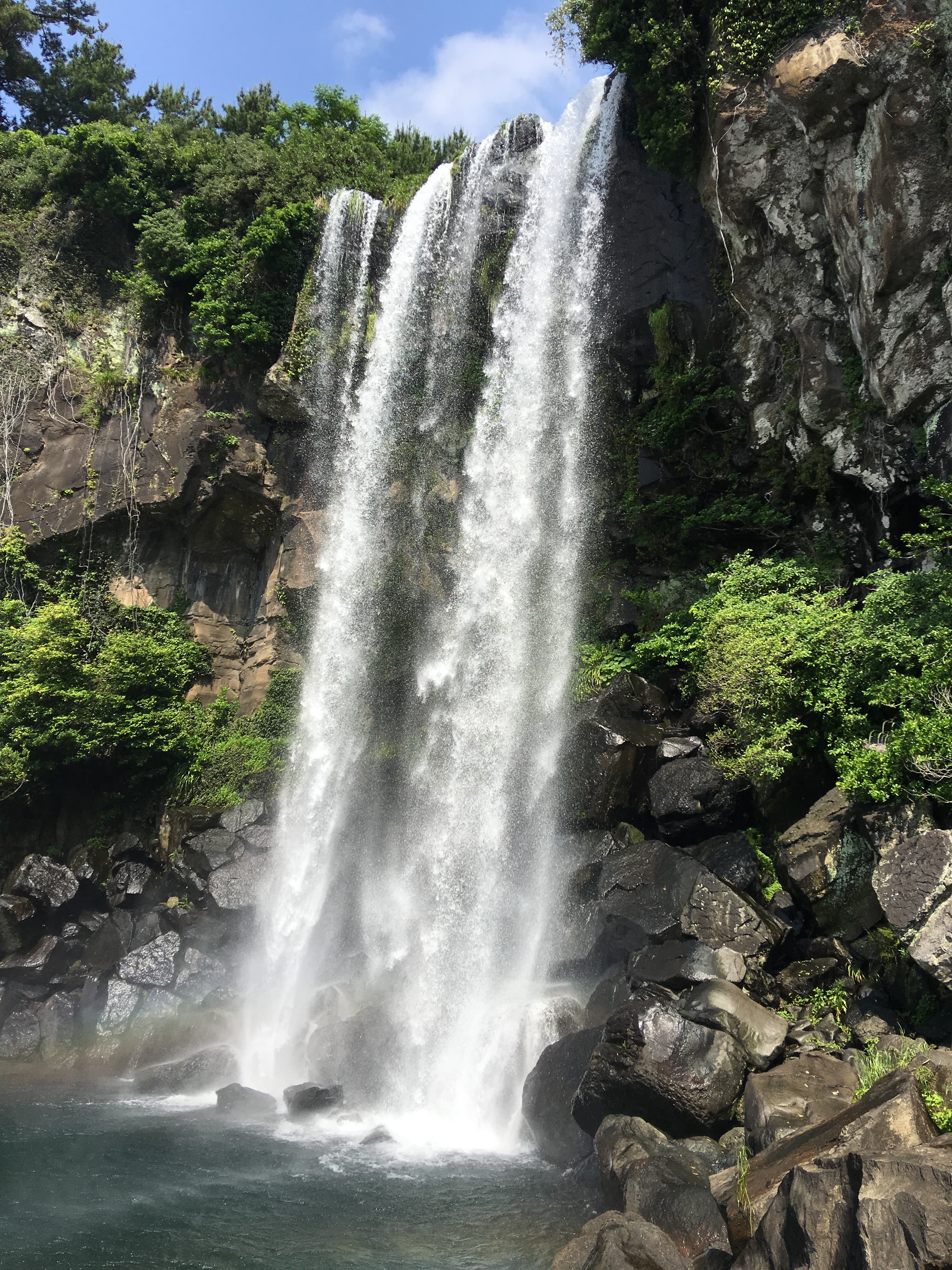 Jeongbang Waterfall cascading over a rock cliff into a coastal pool