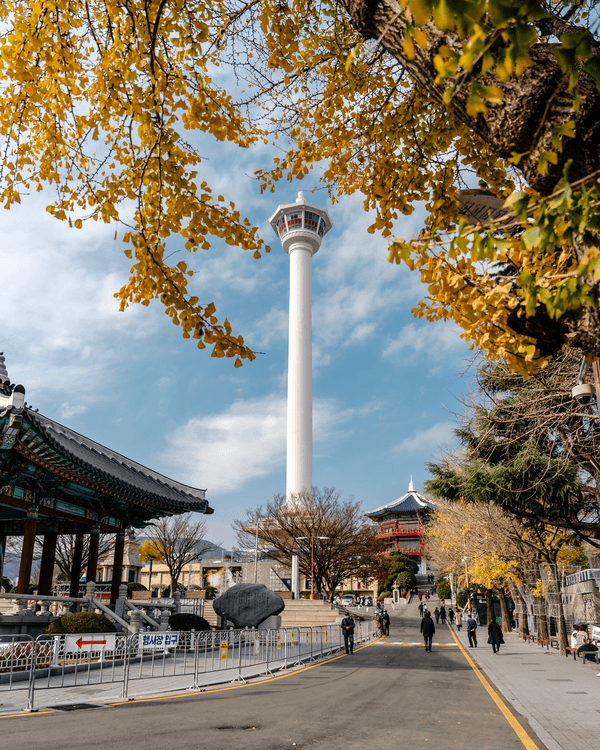 Busan Tower framed by autumn foliage in Yongdusan Park